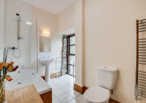a bathroom with a toilet and a tub and a sink at Bythynnod Aderyn Cottages in Cemmaes