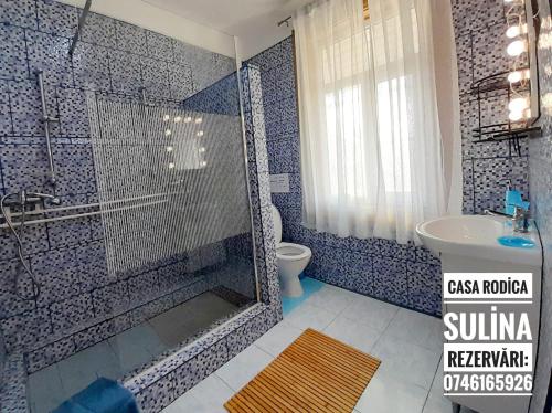 a bathroom with a shower and a toilet and a sink at Casa de Vacanta Rodica in Sulina