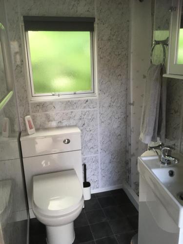 a bathroom with a toilet and a sink and a window at The Caravan at Loggans Lodge in Hayle