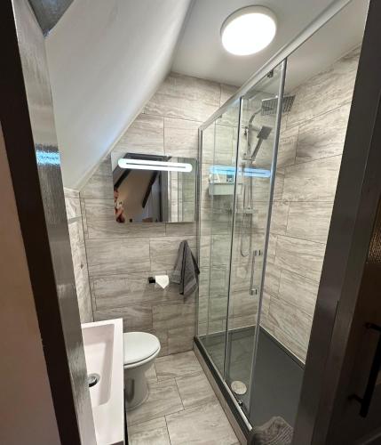 a bathroom with a shower and a toilet at Green Corner Villa - Walls Hill - Cosy Luxury Apartment in Central Torquay with Free Parking & EV in Torquay