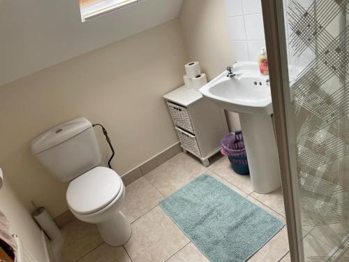 bagno con servizi igienici e lavandino di Hillside House - Ringfort a Ballinamuck