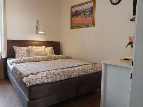 ein Schlafzimmer mit einem Bett in einem Zimmer in der Unterkunft Zimmer Donaustrand in Leiben