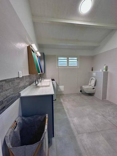 a bathroom with a sink and a toilet at Bungalow F2 (pitaya) in Le Moule