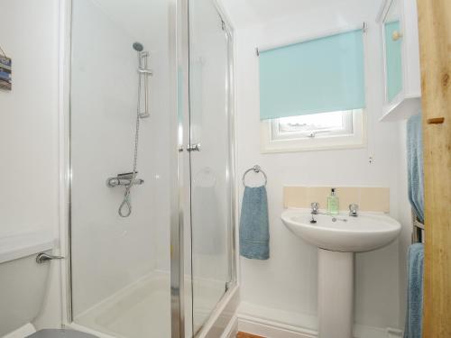 a bathroom with a shower and a sink at The Cabin in Bude