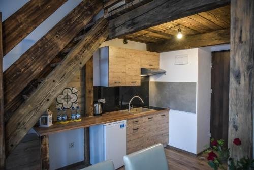 a kitchen with wooden walls and a wooden ceiling at Willa Zator in Oświęcim