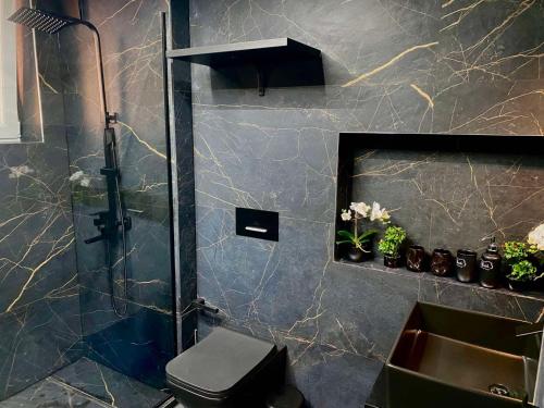 een badkamer met een douche, een toilet en een wastafel bij Kiki Home in Blagoevgrad