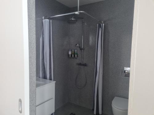 a bathroom with a shower and a toilet at New and well furnished studio apartment for two 30 km from Kirkjubæjarklaustur Perfect place to stay at right between Black beach and Jökulsárlón in Kirkjubæjarklaustur