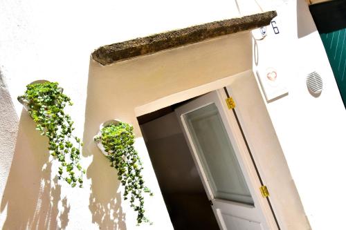 a door with two plants on the side of a building at La Chicca di Ste in Gallipoli