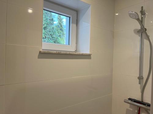 a bathroom with a shower and a window at Les Cerisettes in Wavre