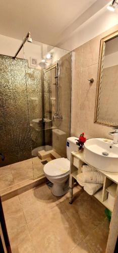 a bathroom with a toilet and a sink and a shower at Summer Love in Mangalia