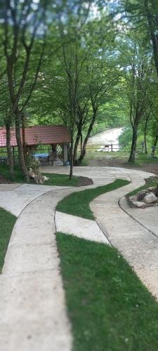 a path in a park with a bench and trees at Martvili canyon cottage in Martvili