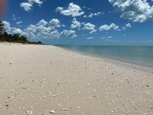 a sandy beach with rocks and the ocean at La Casa en Celestun in Celestún
