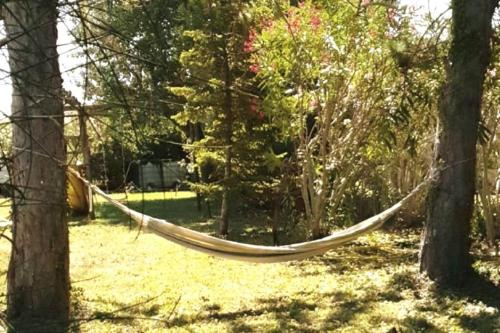 een hangmat tussen twee bomen in een tuin bij Le Provencou in Tulette