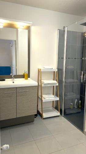 une salle de bain avec un lavabo et une douche dans l'établissement Marguerite-Gap Centre, à Gap