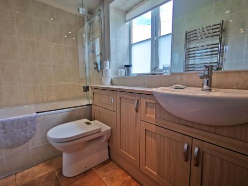 莫芬妮芬的住宿－Tan Y Ffordd，浴室配有盥洗盆、卫生间和盥洗盆。