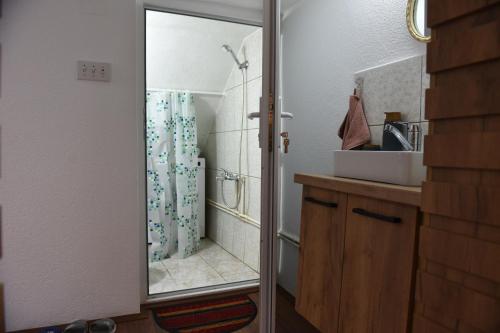a bathroom with a shower with a mirror at NeWave Apartment in Strumica