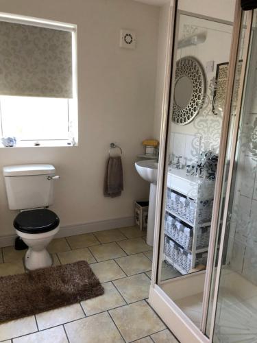 a bathroom with a toilet and a sink and a shower at Eden House in Carlingford