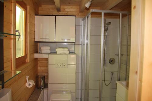 ein Bad mit einer Dusche, einem WC und einem Waschbecken in der Unterkunft Blockhaus Säuling - Haus Elise Apartments in Füssen