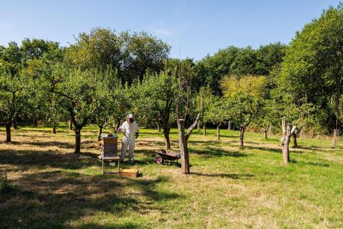 a man standing in a field with a chair at Berwick Lodge in Bristol