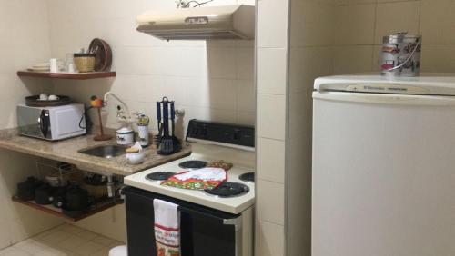 a small kitchen with a stove and a sink at Center Suiço Flats in Campos do Jordão