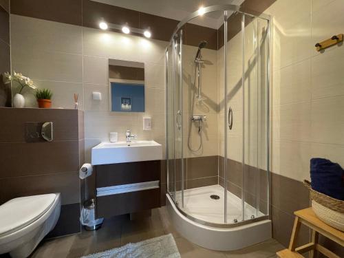 uma casa de banho com um chuveiro, um lavatório e um WC. em Apartament Kalina em Lublin