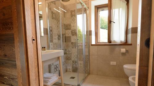 ein Bad mit einer Dusche, einem WC und einem Waschbecken in der Unterkunft Agribed Quierta - Camere Matrimoniali 