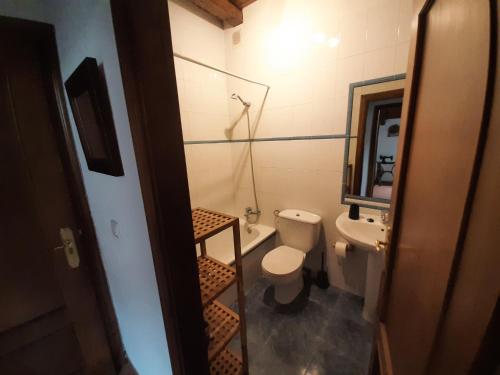 a bathroom with a toilet and a sink and a mirror at CASA GRACIANO I in Ochagavía