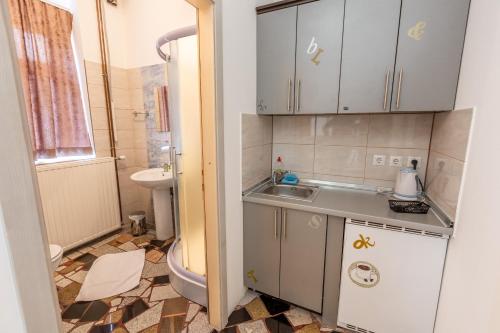 Η κουζίνα ή μικρή κουζίνα στο Apartments Villa Kobilj