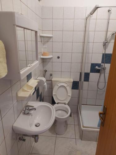 a bathroom with a toilet and a sink and a shower at MIRKO DIVING CENTER in Rab