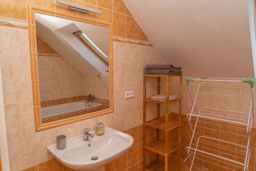 La salle de bains est pourvue d'un lavabo et d'un miroir. dans l'établissement Apartmán Tereza, à Poděbrady