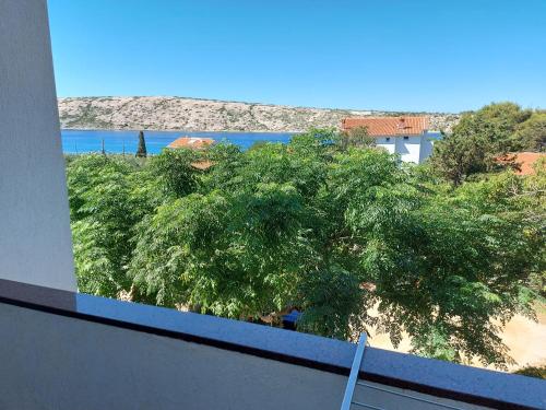 a tree on the side of a building with a beach at MIRKO DIVING CENTER in Rab