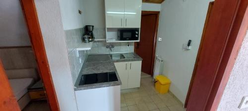 a small kitchen with a sink and a microwave at MIRKO DIVING CENTER in Rab