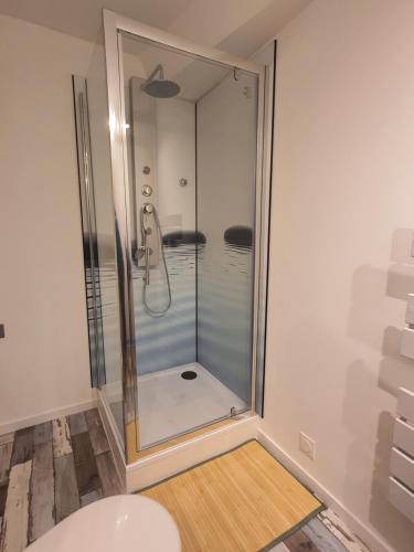 La salle de bains est pourvue d'une douche avec une porte en verre. dans l'établissement Appartement meublé, bord de seine, à Duclair