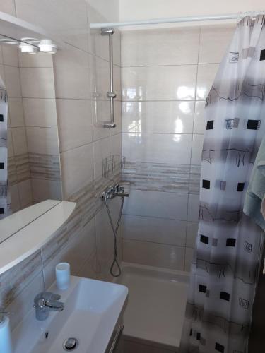 a bathroom with a shower and a sink and a tub at MIRKO DIVING CENTER in Rab