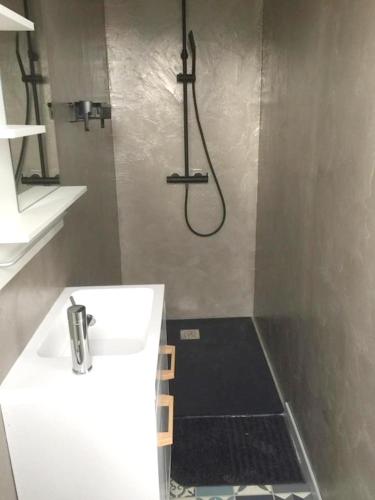 een badkamer met een douche en een witte wastafel bij Maison de 4 chambres avec jardin clos et wifi a Fresnes en Woevre in Fresnes-en-Woëvre