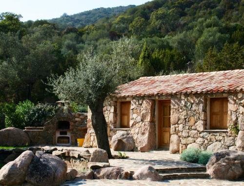 a stone house with a tree in front of it at Maison de 3 chambres avec vue sur la mer piscine partagee et jardin clos a Cargese in Cargèse