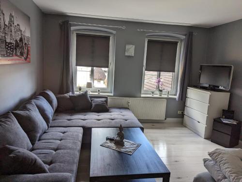ein Wohnzimmer mit einem Sofa und einem Couchtisch in der Unterkunft Flensburg Zentrum 69 02 in Flensburg