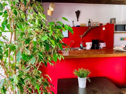 a red kitchen with a counter and two potted plants at Boutique Hostal Lorca in Nerja