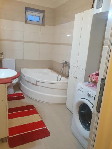 a bathroom with a toilet and a washing machine at Casa Andu in 2 Mai