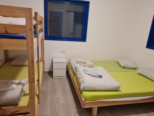 a room with two bunk beds and a window at Yvonne Hostel Sde Boker in Midreshet Ben Gurion