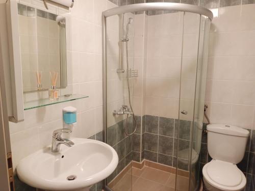 La salle de bains est pourvue d'une douche, d'un lavabo et de toilettes. dans l'établissement Apartments Gugoski, à Ohrid