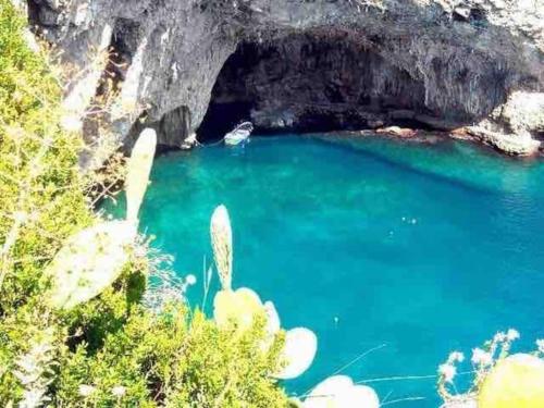 Příroda nedaleko prázdninového domu