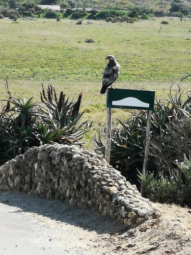 Fotografie z fotogalerie ubytování Ocean View Cottage, Springerbaai v destinaci Boggomsbaai