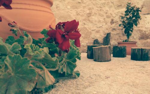 a group of plants sitting on the floor next to a wall at Picturesque Traditional Stone House in Plátanos