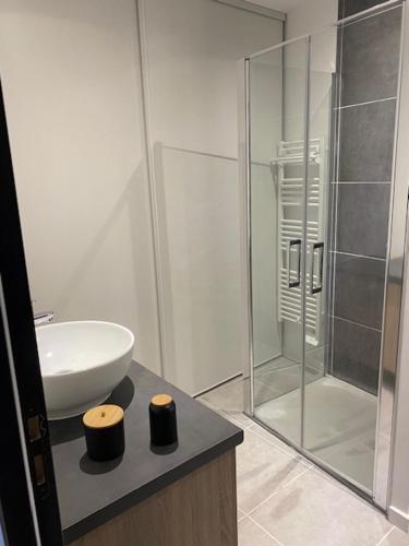 a white bathroom with a sink and a shower at Appartement au cœur du village in Marlhes