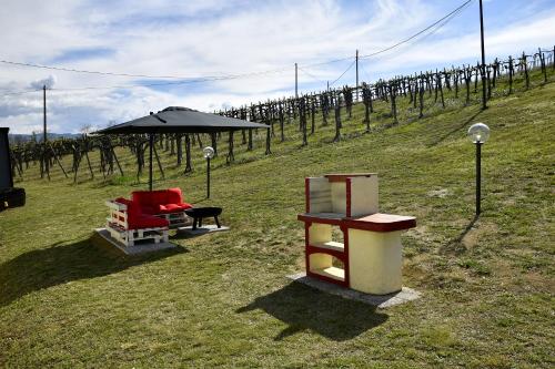 a group of chairs and an umbrella in a vineyard at Casavacanzedezza in Montecalvo Versiggia