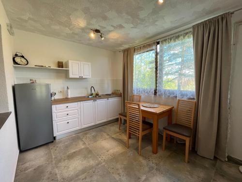 a kitchen with a table and a refrigerator at Guesthouse Hodak in Seliste Dreznicko