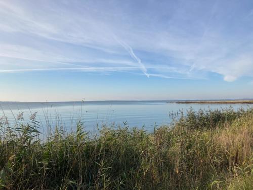 a view of a body of water with grass at Ferienwohnungen Kapitänskajüte & Ausguck in Maasholm