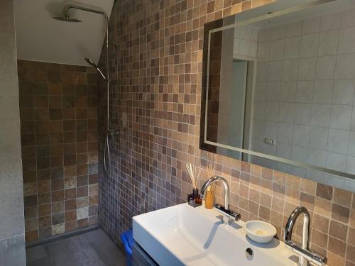 a bathroom with a sink and a mirror and a shower at Boshoes in Heythuysen