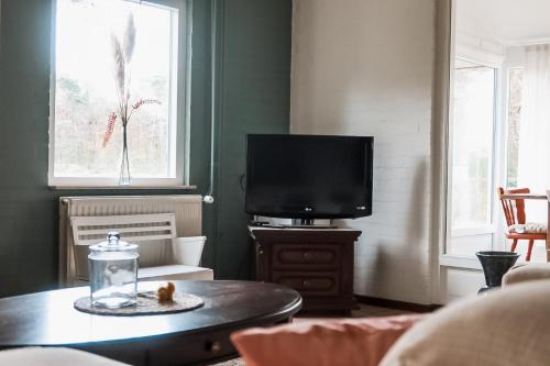 a living room with a tv and a table at Boshoes in Heythuysen
